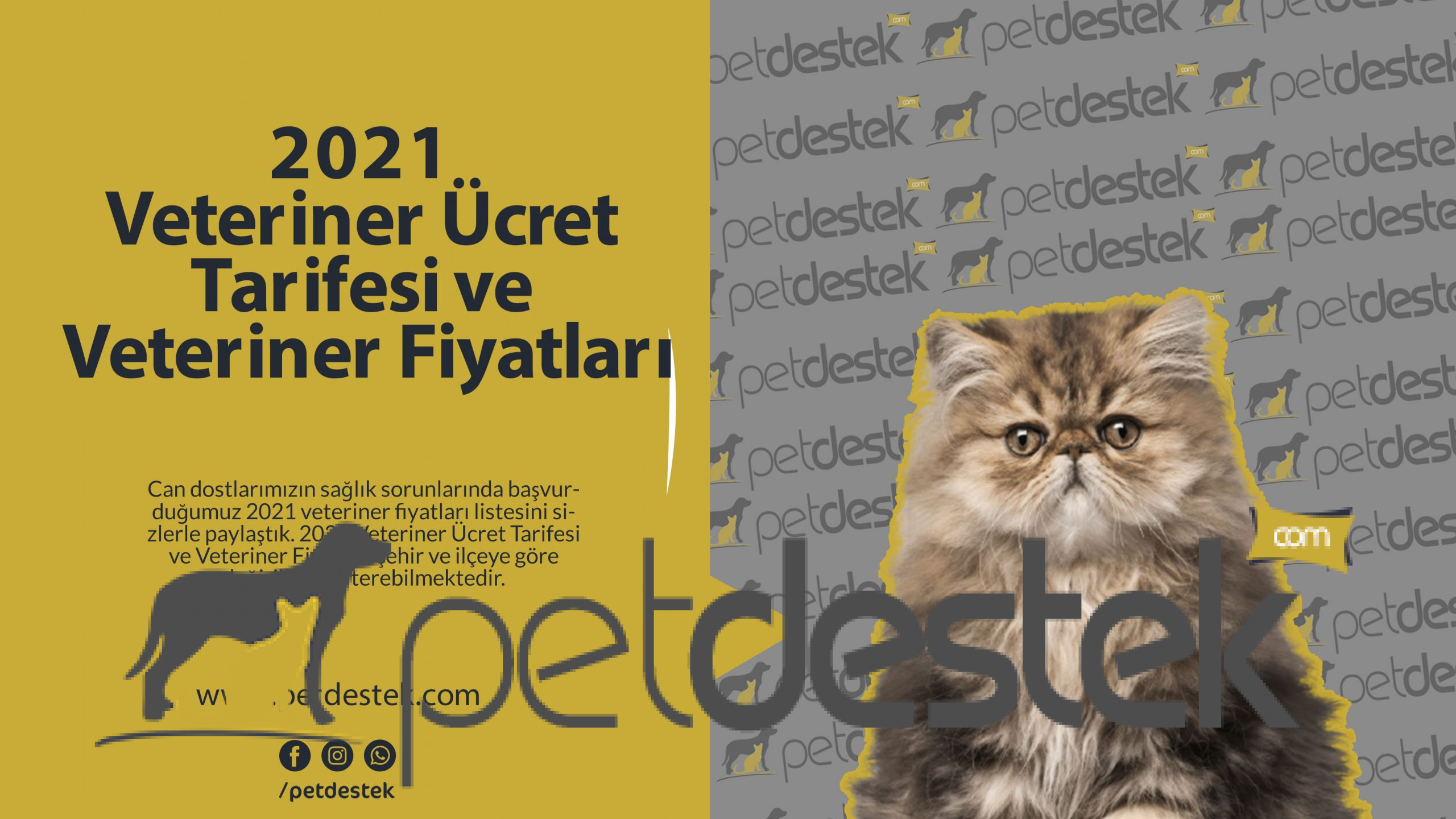 2021 Veteriner Ücret Tarifesi ve Veteriner Fiyatları Pet Destek