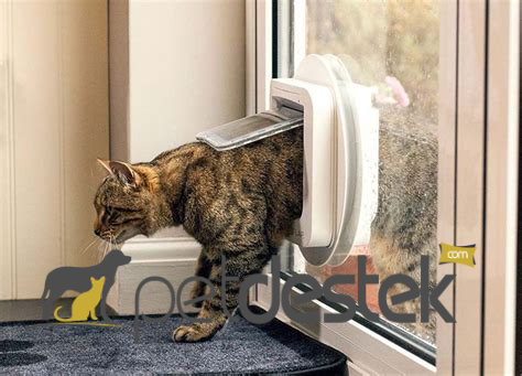 Kedi Kapısı Ne İşe Yarar? Kedi Kapısı Modelleri